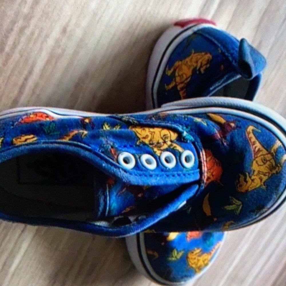 Good condition with Dino print simple design shoes